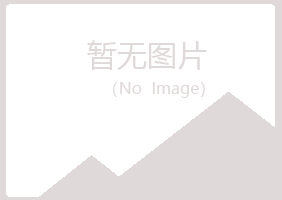 山阳区曹哥能源有限公司